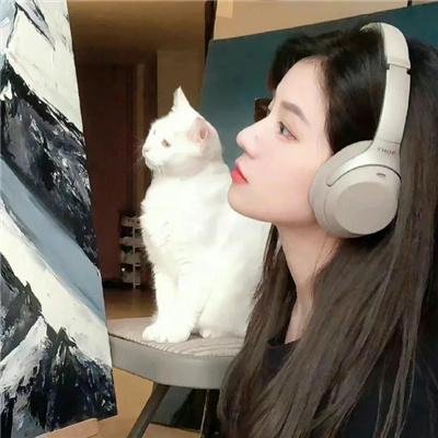 红狐